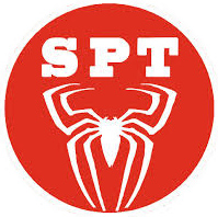 SPT Spider Crane